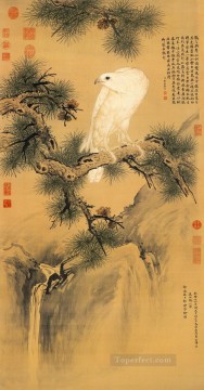 Lang pájaro blanco brillante sobre pino tinta china antigua Giuseppe Castiglione Pinturas al óleo